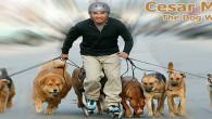 De energie van Cesar Millan – hondenfluisteraar Een uitleg van zijn woordgebruik.
